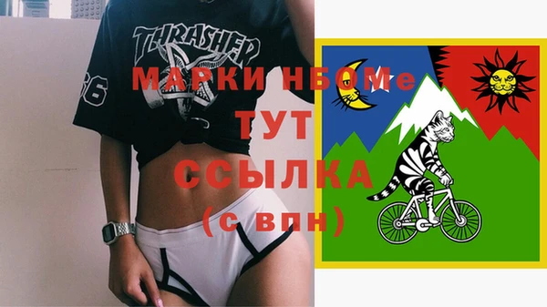 дурь Пестово