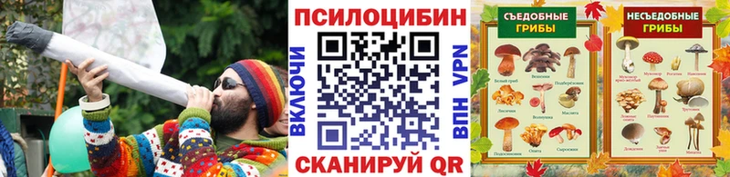 Псилоцибиновые грибы прущие грибы  Купить закладки  Новый Уренгой 